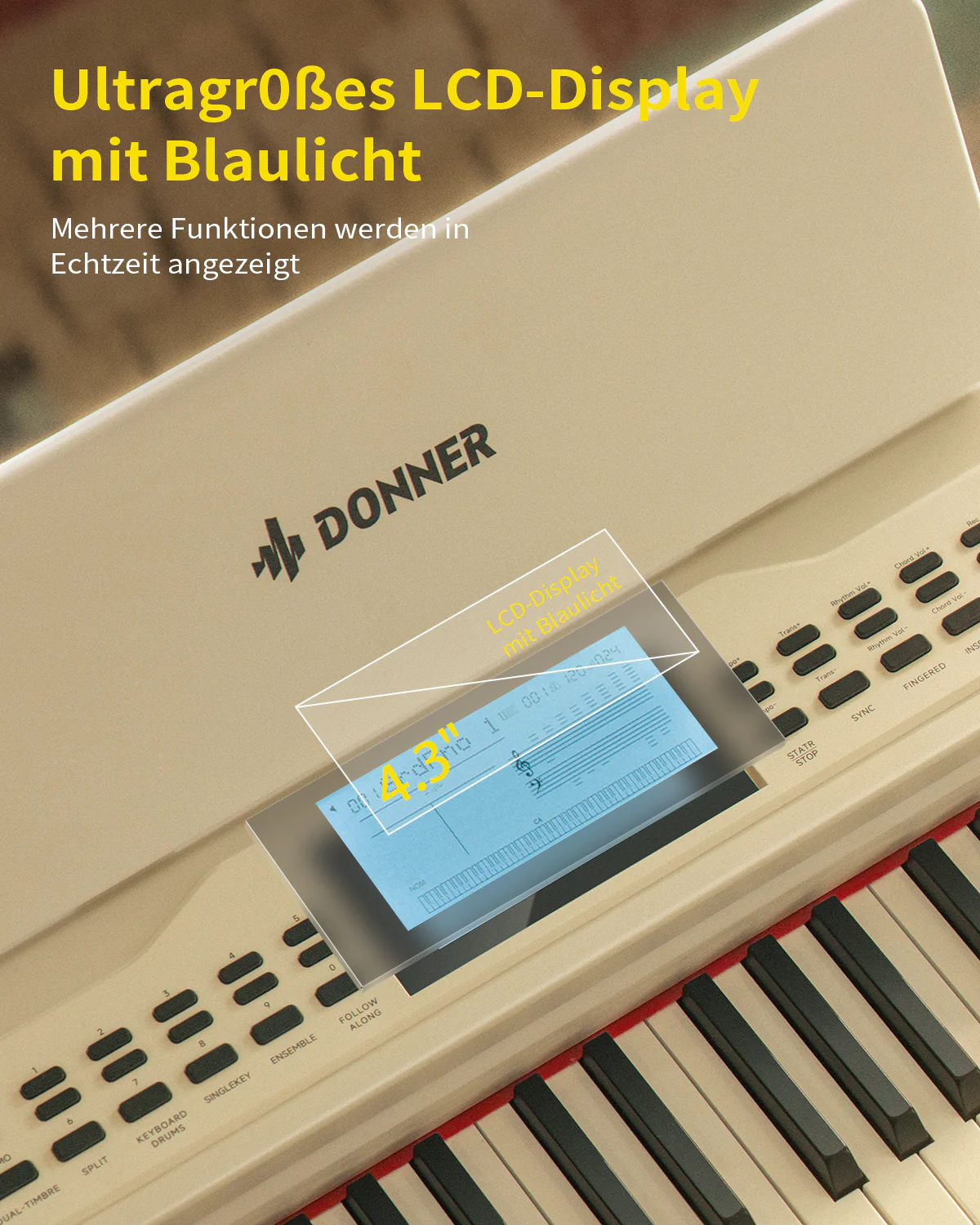 Vorschaubild 8