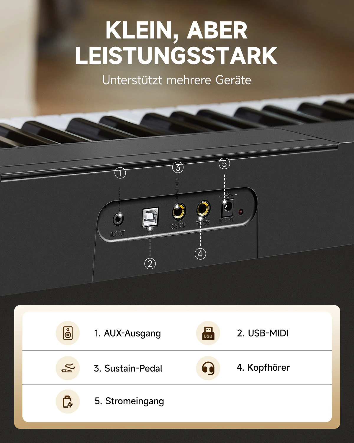 Vorschaubild 11