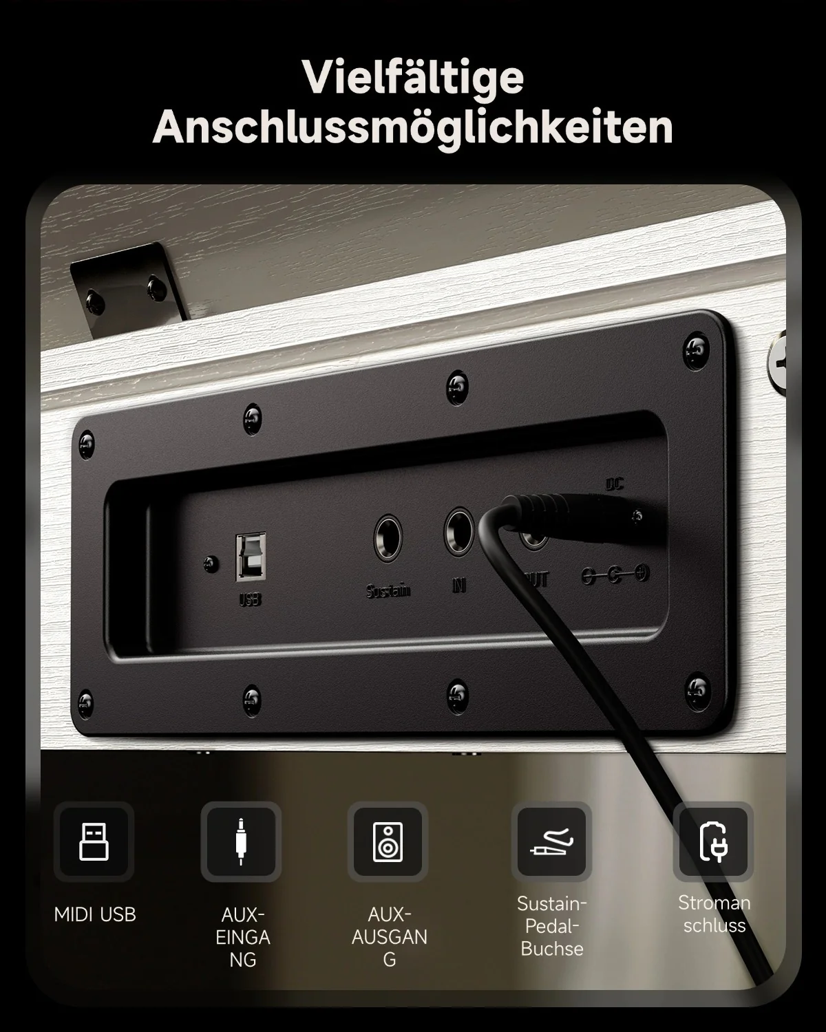 Vorschaubild 55